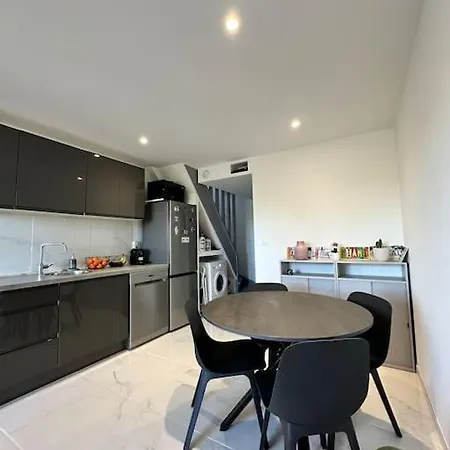 Appartement T2 Duplex Climatise Et Renove Avec Terrasses - Port *